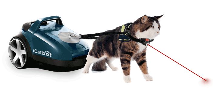 Fat Cat automated Window Cleaning. Power pets